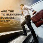 <strong>What Are The Steps To Elevating Your Business Ecosystem? </strong>