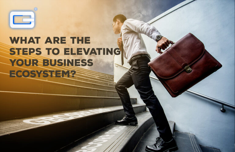 Read more about the article <strong>What Are The Steps To Elevating Your Business Ecosystem? </strong>