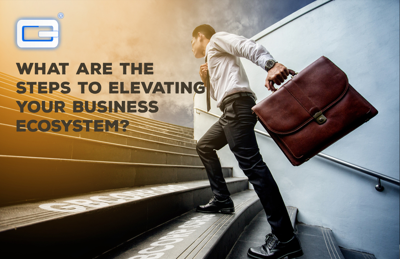You are currently viewing <strong>What Are The Steps To Elevating Your Business Ecosystem? </strong>